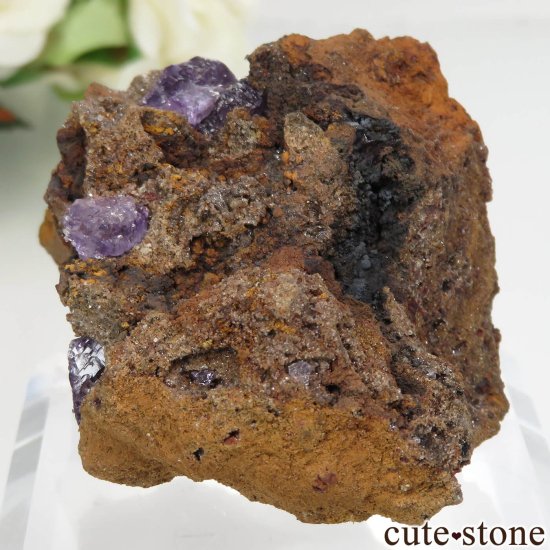 ᥭ Ojuela Mine (ϥ) ե饤Ȥθ No.2μ̿1 cute stone