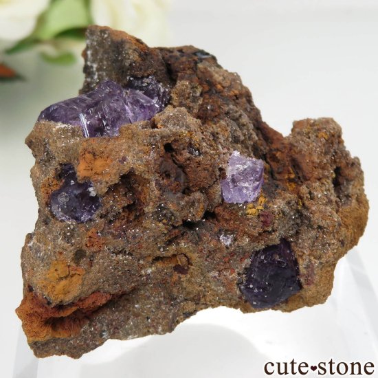 ᥭ Ojuela Mine (ϥ) ե饤Ȥθ No.2μ̿2 cute stone