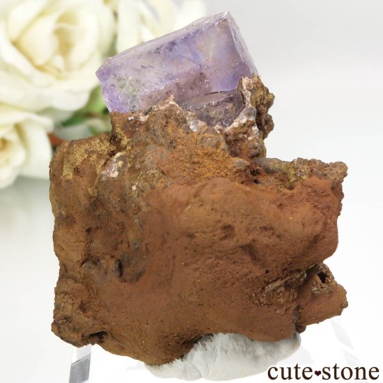 メキシコ Ojuela Mine (オハエラ)産 フローライトの原石 No.3 - cute stone -