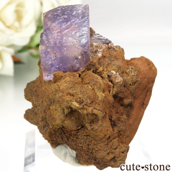 ᥭ Ojuela Mine (ϥ) ե饤Ȥθ No.3μ̿0 cute stone