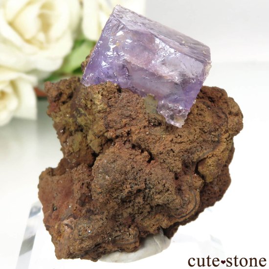 ᥭ Ojuela Mine (ϥ) ե饤Ȥθ No.3μ̿1 cute stone