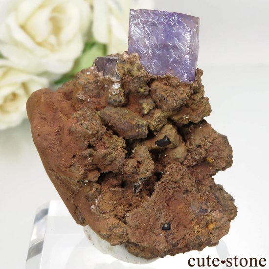 ᥭ Ojuela Mine (ϥ) ե饤Ȥθ No.3μ̿2 cute stone