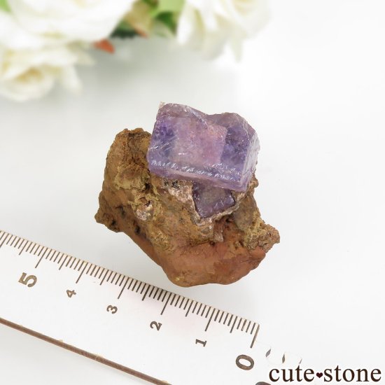 ᥭ Ojuela Mine (ϥ) ե饤Ȥθ No.3μ̿3 cute stone