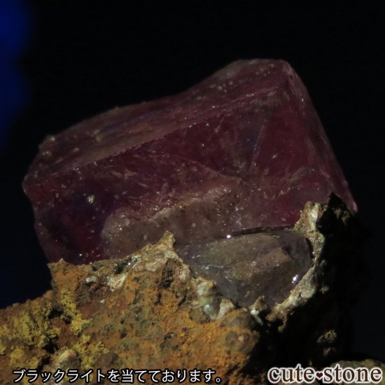 ᥭ Ojuela Mine (ϥ) ե饤Ȥθ No.3μ̿4 cute stone