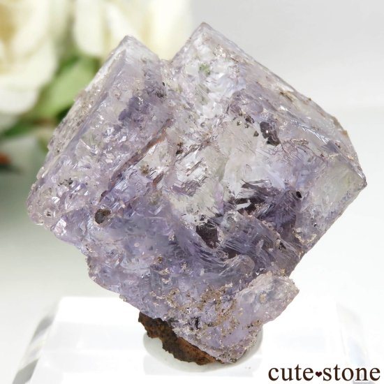 ᥭ Ojuela Mine (ϥ) ե饤Ȥθ No.4μ̿1 cute stone