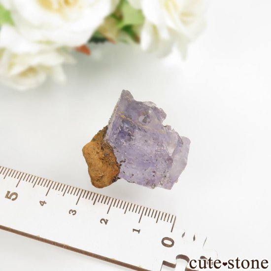 ᥭ Ojuela Mine (ϥ) ե饤Ȥθ No.4μ̿4 cute stone