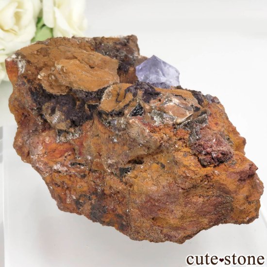 ᥭ Ojuela Mine (ϥ) ե饤Ȥθ No.5μ̿0 cute stone