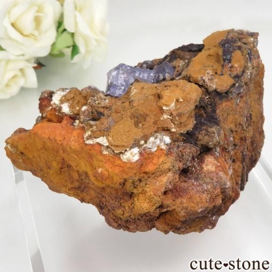 ᥭ Ojuela Mine (ϥ) ե饤Ȥθ No.5μ̿1 cute stone