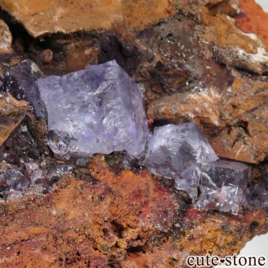 ᥭ Ojuela Mine (ϥ) ե饤Ȥθ No.5μ̿2 cute stone