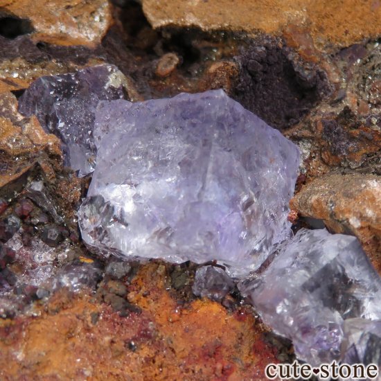ᥭ Ojuela Mine (ϥ) ե饤Ȥθ No.5μ̿3 cute stone