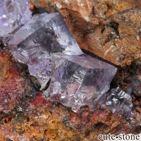 ᥭ Ojuela Mine (ϥ) ե饤Ȥθ No.5μ̿4 cute stone
