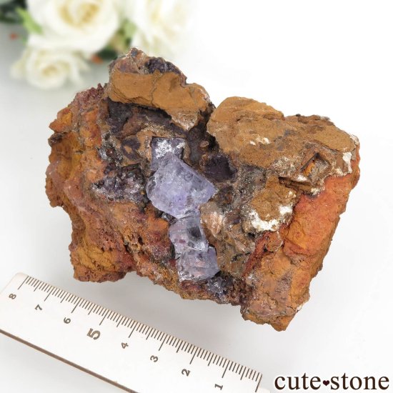 ᥭ Ojuela Mine (ϥ) ե饤Ȥθ No.5μ̿5 cute stone