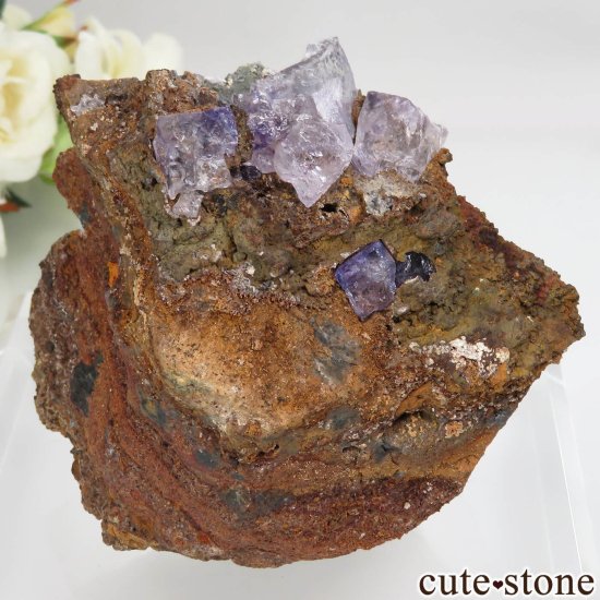 ʡۥᥭ Ojuela Mine (ϥ) ե饤Ȥθ No.6μ̿0 cute stone