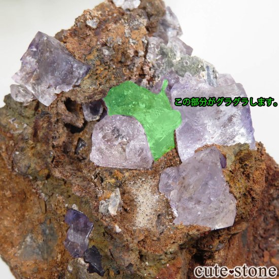 ʡۥᥭ Ojuela Mine (ϥ) ե饤Ȥθ No.6μ̿9 cute stone