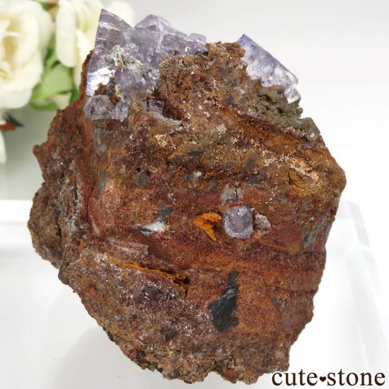 ʡۥᥭ Ojuela Mine (ϥ) ե饤Ȥθ No.6μ̿1 cute stone