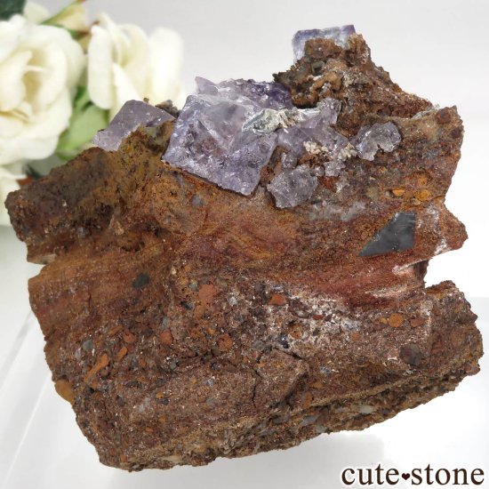 ʡۥᥭ Ojuela Mine (ϥ) ե饤Ȥθ No.6μ̿2 cute stone