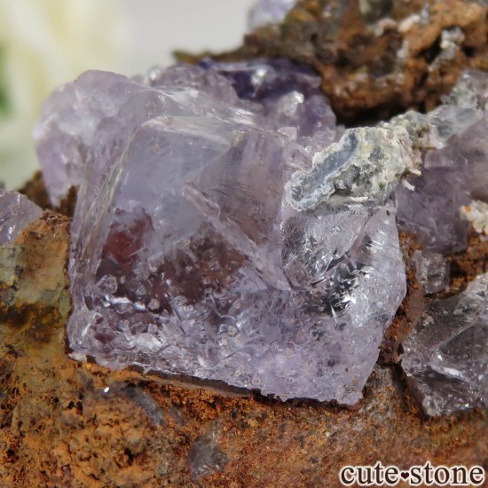 ʡۥᥭ Ojuela Mine (ϥ) ե饤Ȥθ No.6μ̿5 cute stone