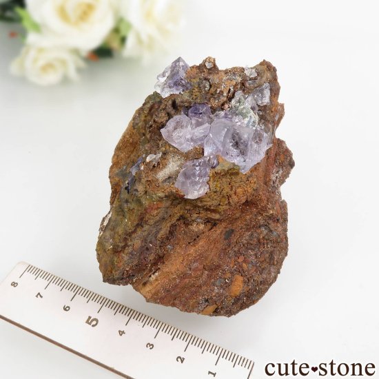 ʡۥᥭ Ojuela Mine (ϥ) ե饤Ȥθ No.6μ̿6 cute stone