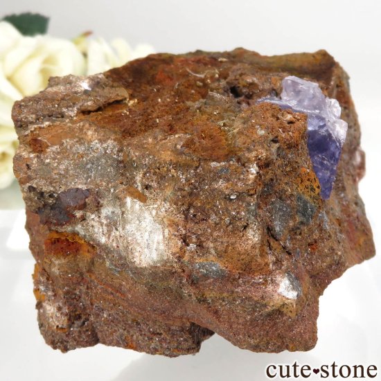 ᥭ Ojuela Mine (ϥ) ե饤Ȥθ No.7μ̿0 cute stone