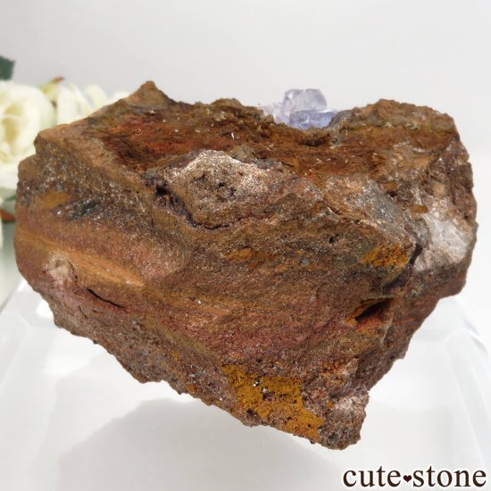 ᥭ Ojuela Mine (ϥ) ե饤Ȥθ No.7μ̿1 cute stone