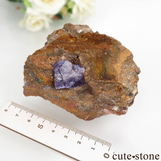 ᥭ Ojuela Mine (ϥ) ե饤Ȥθ No.7μ̿4 cute stone