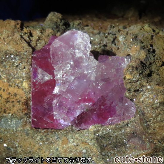 ᥭ Ojuela Mine (ϥ) ե饤Ȥθ No.7μ̿5 cute stone