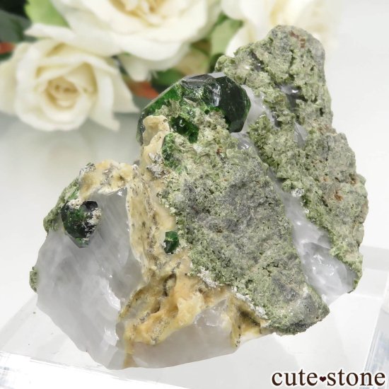  Belqeys MountainΥǥޥȥɥͥåȤθ No.8μ̿1 cute stone