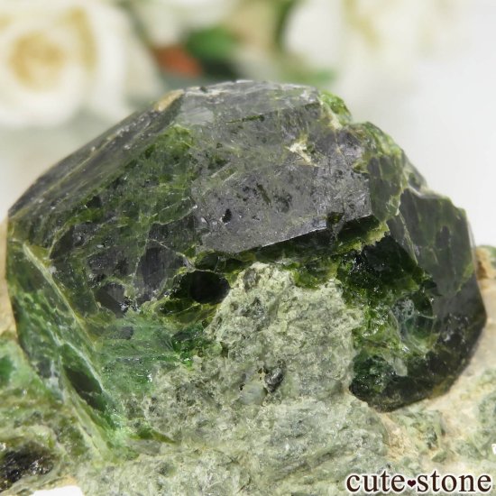  Belqeys MountainΥǥޥȥɥͥåȤθ No.9μ̿3 cute stone