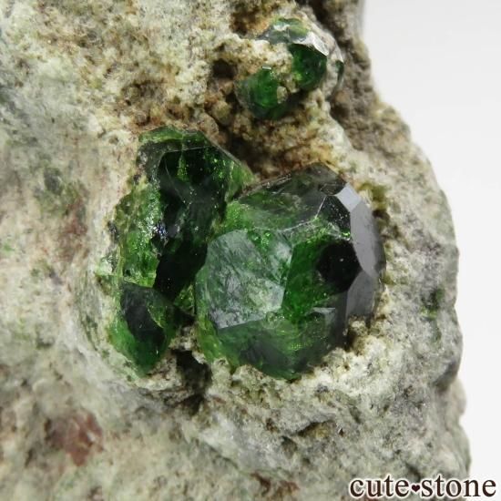  Belqeys MountainΥǥޥȥɥͥåȤθ No.10μ̿1 cute stone