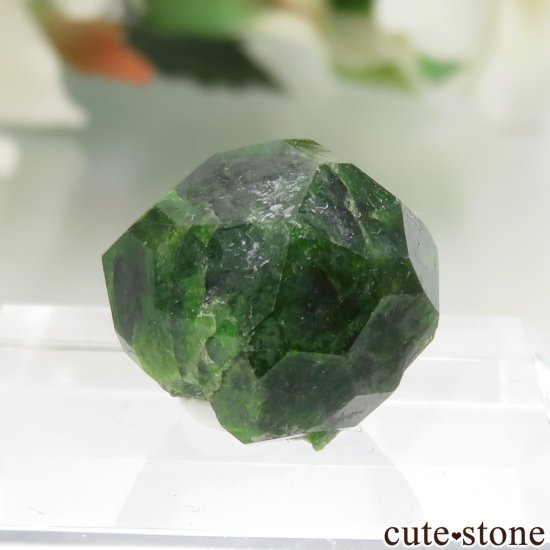  Belqeys MountainΥǥޥȥɥͥåȤθ No.11μ̿0 cute stone