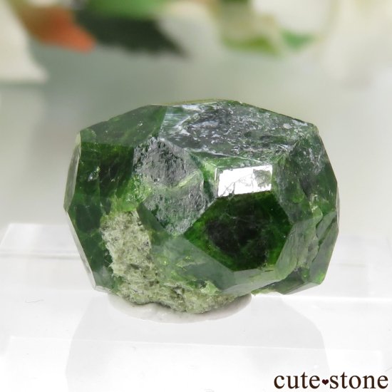  Belqeys MountainΥǥޥȥɥͥåȤθ No.11μ̿1 cute stone