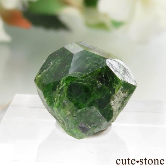  Belqeys MountainΥǥޥȥɥͥåȤθ No.11μ̿2 cute stone