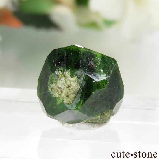  Belqeys MountainΥǥޥȥɥͥåȤθ No.12μ̿0 cute stone