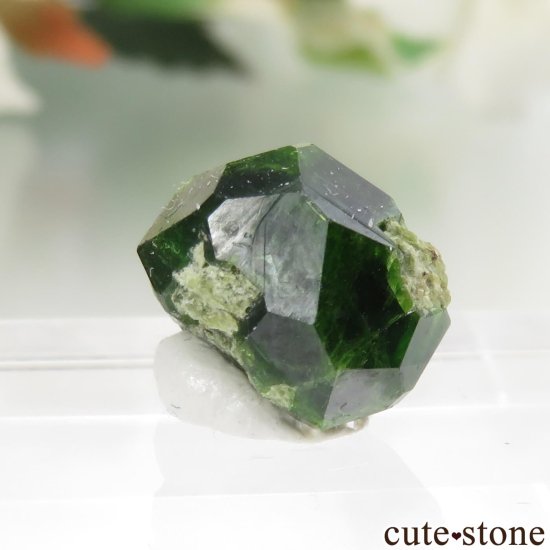  Belqeys MountainΥǥޥȥɥͥåȤθ No.12μ̿1 cute stone