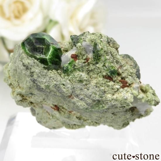  Belqeys MountainΥǥޥȥɥͥåȤθ No.13