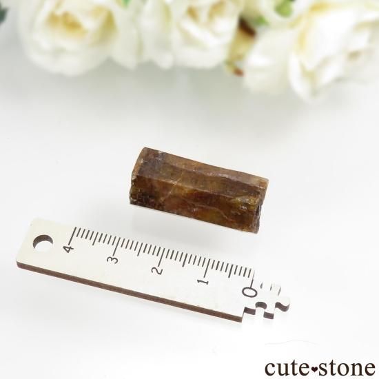 ѥ Shigar θ No.1μ̿1 cute stone