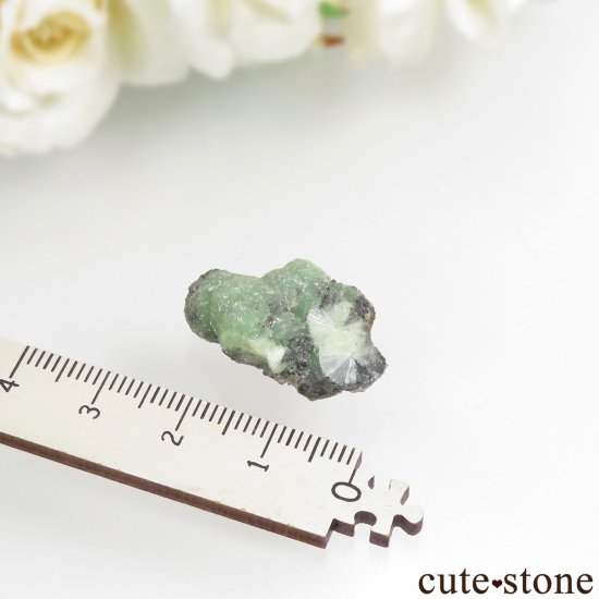 ꥫ 󥽡 ٥饤Ȥθ No.4μ̿2 cute stone
