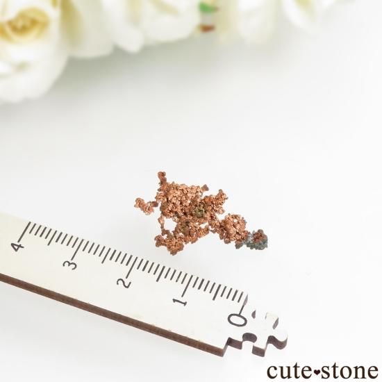 ꥫ 󥽡 White Pine Mine åѡʼƼNo.1μ̿3 cute stone