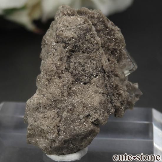 ˥塼衼 Walworth 顼쥹ե饤Ȥθ No.3μ̿0 cute stone