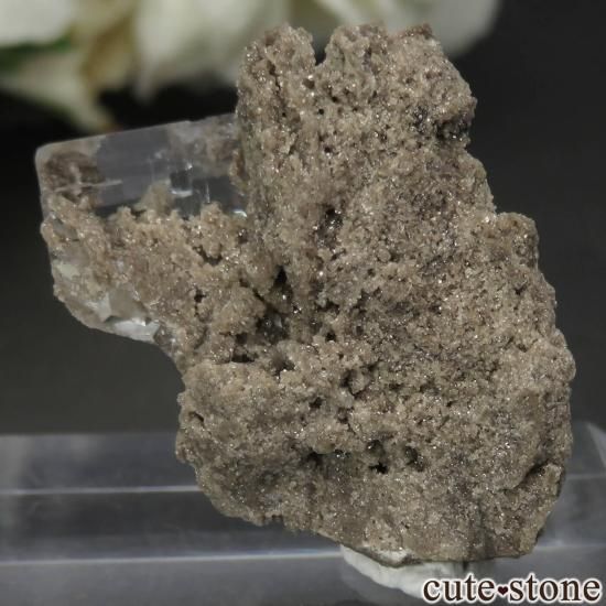 ˥塼衼 Walworth 顼쥹ե饤Ȥθ No.3μ̿1 cute stone