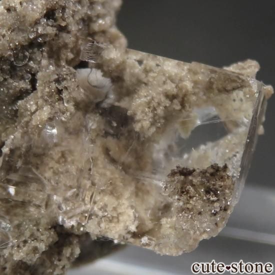 ˥塼衼 Walworth 顼쥹ե饤Ȥθ No.3μ̿3 cute stone