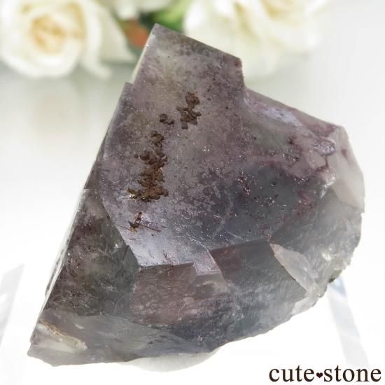 ɥ Johann Mine ե饤Ȥθ No.2μ̿3 cute stone