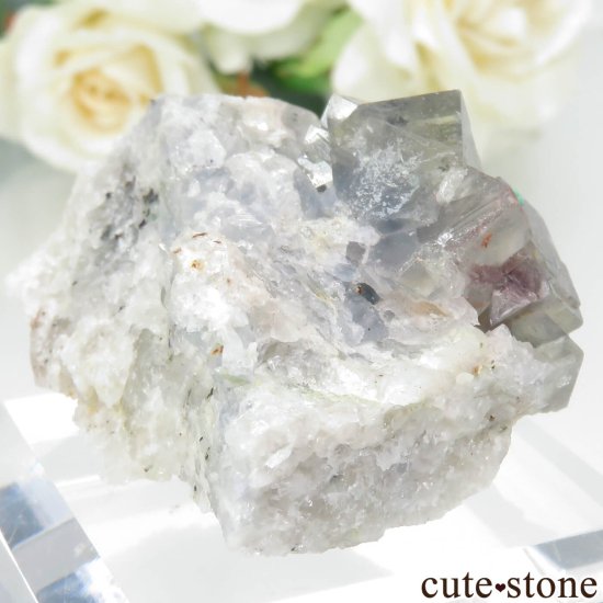 ɥ Johann Mine ե饤ȡޥ饫Ȥθ No.3μ̿0 cute stone