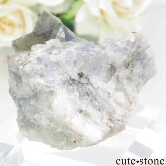 ɥ Johann Mine ե饤ȡޥ饫Ȥθ No.3μ̿1 cute stone