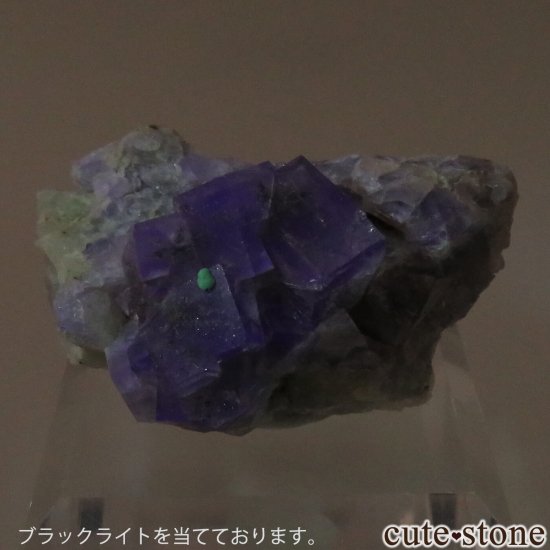 ɥ Johann Mine ե饤ȡޥ饫Ȥθ No.3μ̿3 cute stone