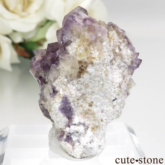 ɥ Stephanie Mine ѡץߥե饤Ȥθ No.2μ̿1 cute stone