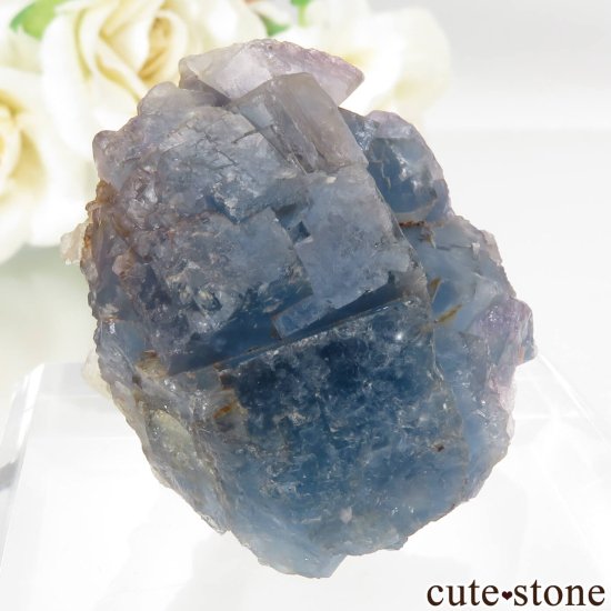 ɥ Hesselbach Mine ֥롼ե饤Ȥθ No.1μ̿0 cute stone
