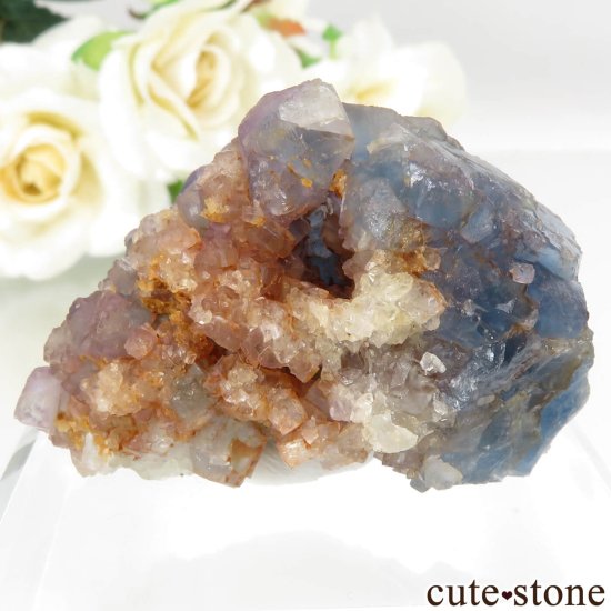 ɥ Hesselbach Mine ֥롼ե饤Ȥθ No.1μ̿1 cute stone