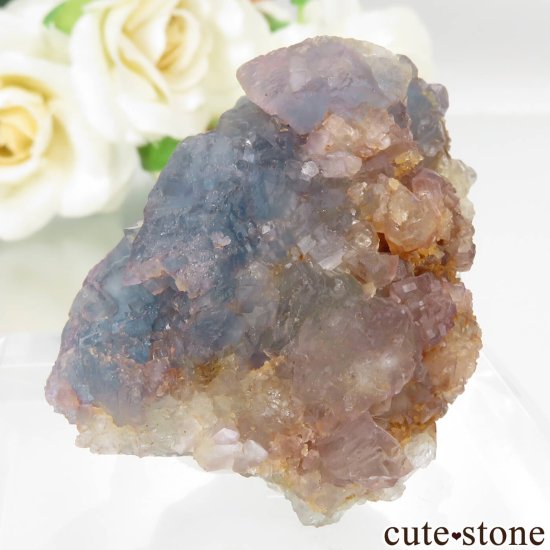 ɥ Hesselbach Mine ֥롼ե饤Ȥθ No.1μ̿2 cute stone