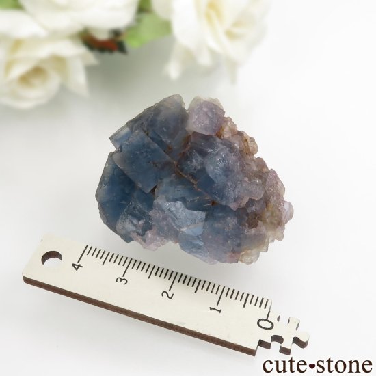 ɥ Hesselbach Mine ֥롼ե饤Ȥθ No.1μ̿3 cute stone